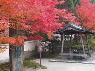 一休寺の紅葉