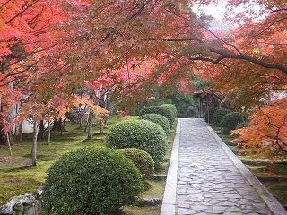 一休寺の紅葉