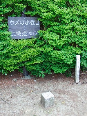 甘南備山の三角点