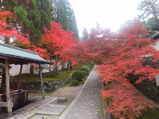 一休寺の紅葉